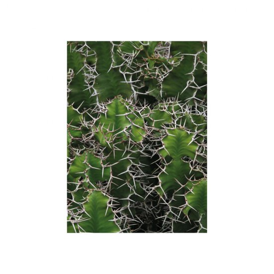 Tablou MOMA FRAME 1379 Verde