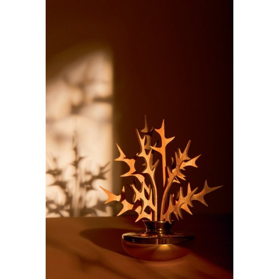 Difuzor parfum THE FIVE SEASONS OHHH