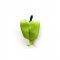 Cuier Perete PEPPER Verde Lucios