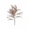 Floare Artificială REED Crem