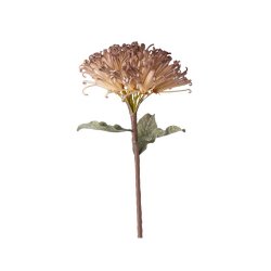 Floare Artificială DANDELION Bej
