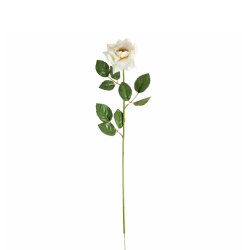 Floare Artificială Trandafir Crem 12 Bucăți