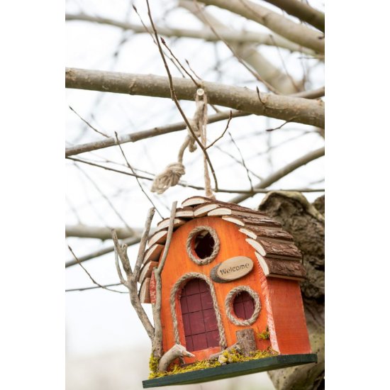 Căsuțe Decorative Pentru Păsări 2 Lemn Oranj
