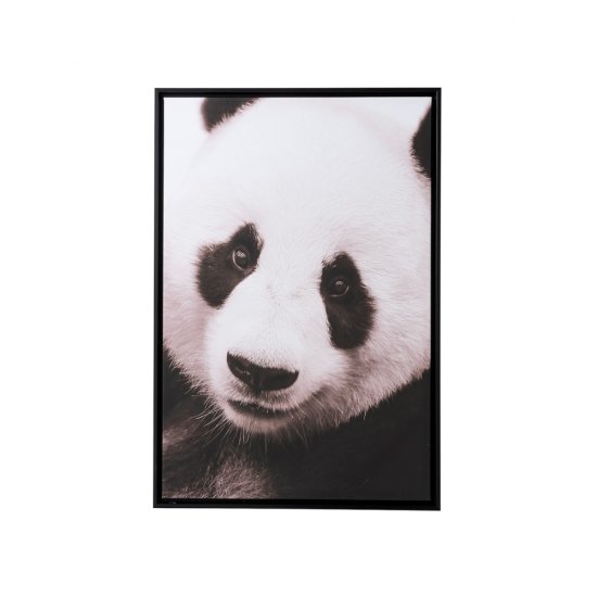Fotografie Înrămată Panda Negru - Alb