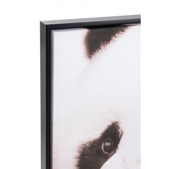 Fotografie Înrămată Panda Negru - Alb