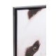 Fotografie Înrămată Panda Negru - Alb