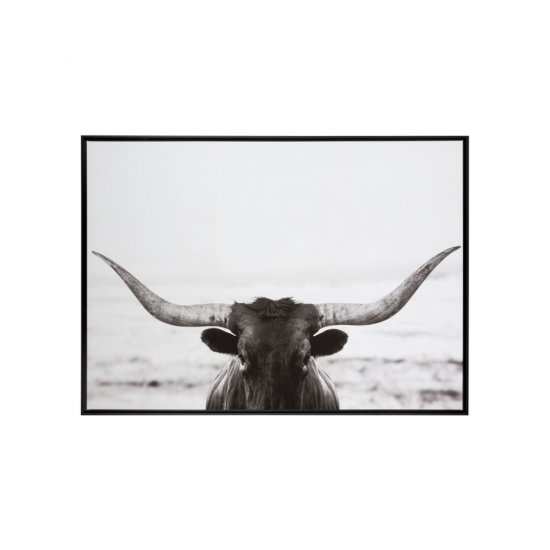 Fotografie Înrămată Taur Negru - White
