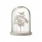Vas Decorativ BUTTERFLY M