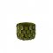 Ghiveci Ceramic MALOU Verde Mare