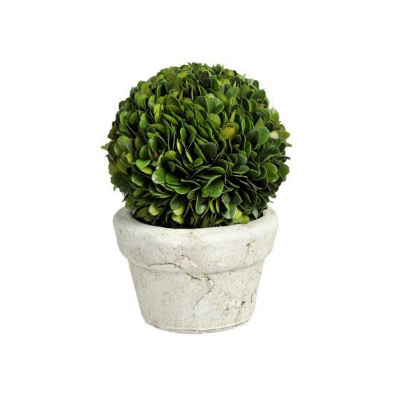 Plantă Artificială Tufiș Buxus Verde S
