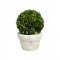 Plantă Artificială Tufiș Buxus Verde S