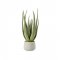 Plantă Artificială Aloe Verde - Gri L