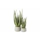 Plantă Artificială Aloe Verde - Gri L