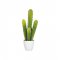 Plantă Artificială Cactus 5 Părți Verde