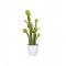 Plantă Artificială Cactus Opuntia Verde L