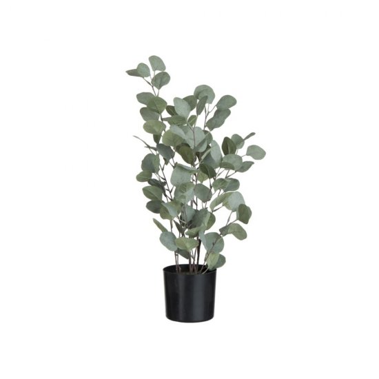 Plantă Artificială  Eucalipt Verde - Negru L