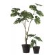 Plantă Artificială Philo Verde S