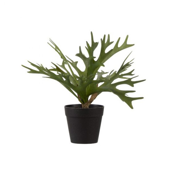 Plantă Artificială Ferigă Staghorn Verde
