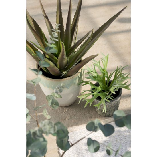 Plantă Artificială Ferigă Staghorn Verde