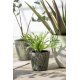 Plantă Artificială Ferigă Staghorn Verde