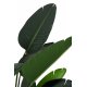 Plantă Artificială Pasărea Paradisului - Sterlitzia Verde S