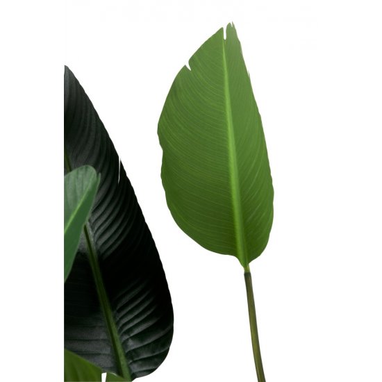 Plantă Artificială Pasărea Paradisului - Sterlitzia Verde S