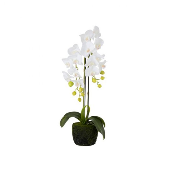Plantă Artificială Orhidee Alb S