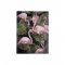 Tablou Flamingo Roz - Verde - Negru