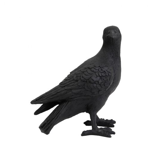 Ornament BIRD Negru Mat
