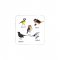 Suport Pahar GARDEN BIRDS 6 Bucăți