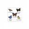 Suport Pahar BUTTERFLIES 6 Bucăți