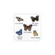 Suport Pahar BUTTERFLIES 6 Bucăți