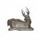 Bol DEER