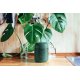 Caserolă Termoizolantă BENTO MB CAPSULE Junglă Verde