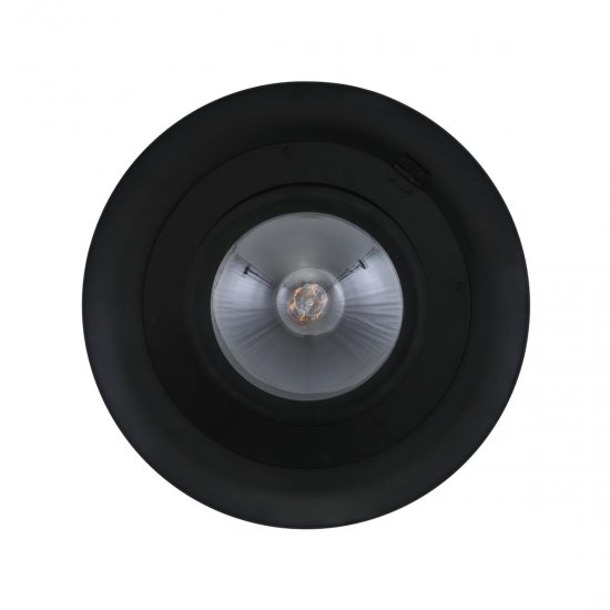 Lampă Suspendată SCOTTSDALE Negru Mat IP44