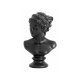 Sculptură Decorativă Cap HOGA Negru S