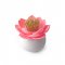 Suport Scobitori LOTUS Alb - Roz